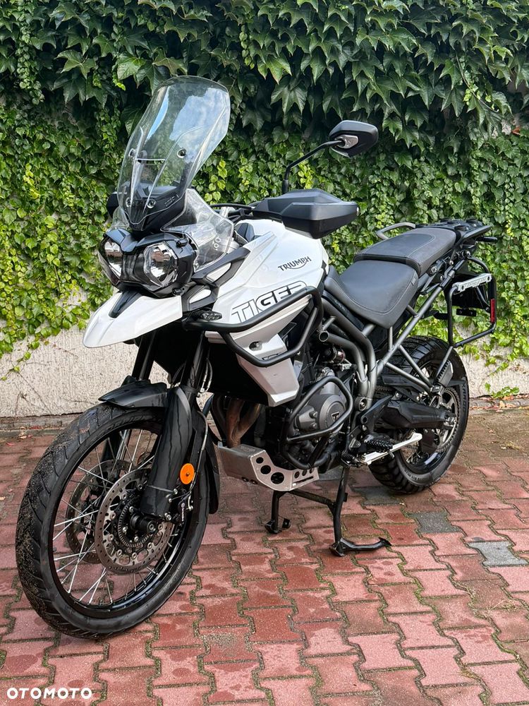 Triumph Tiger - 1