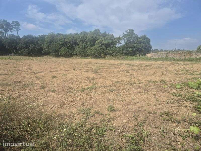 Terreno urbano 3500m2