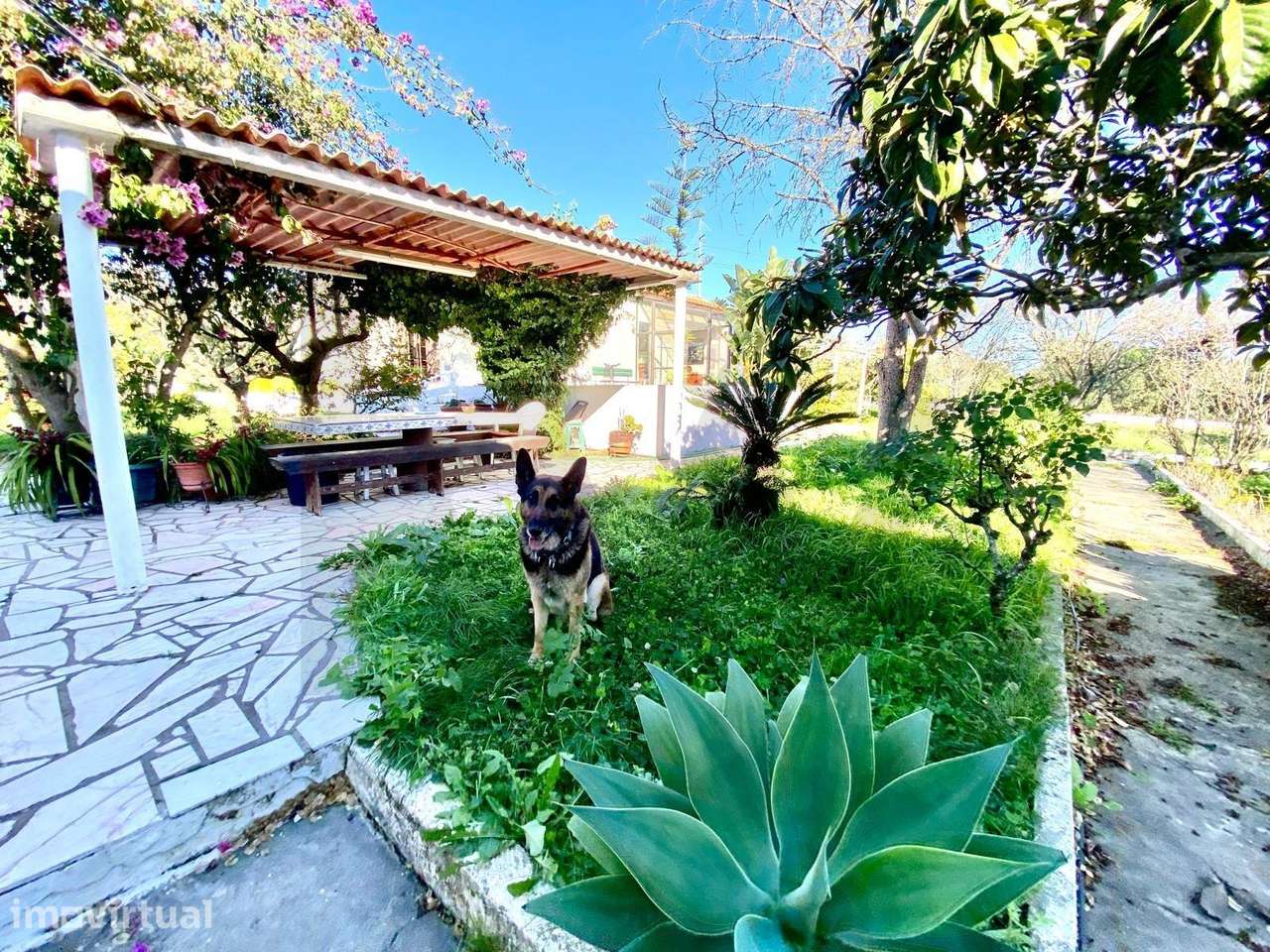 Casa de Campo em Setubal Quinta da Serralheira - Grande imagem: 3/19