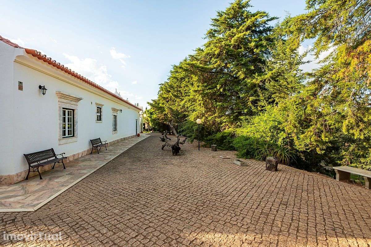 Quinta T6 para venda - Grande imagem: 4/50