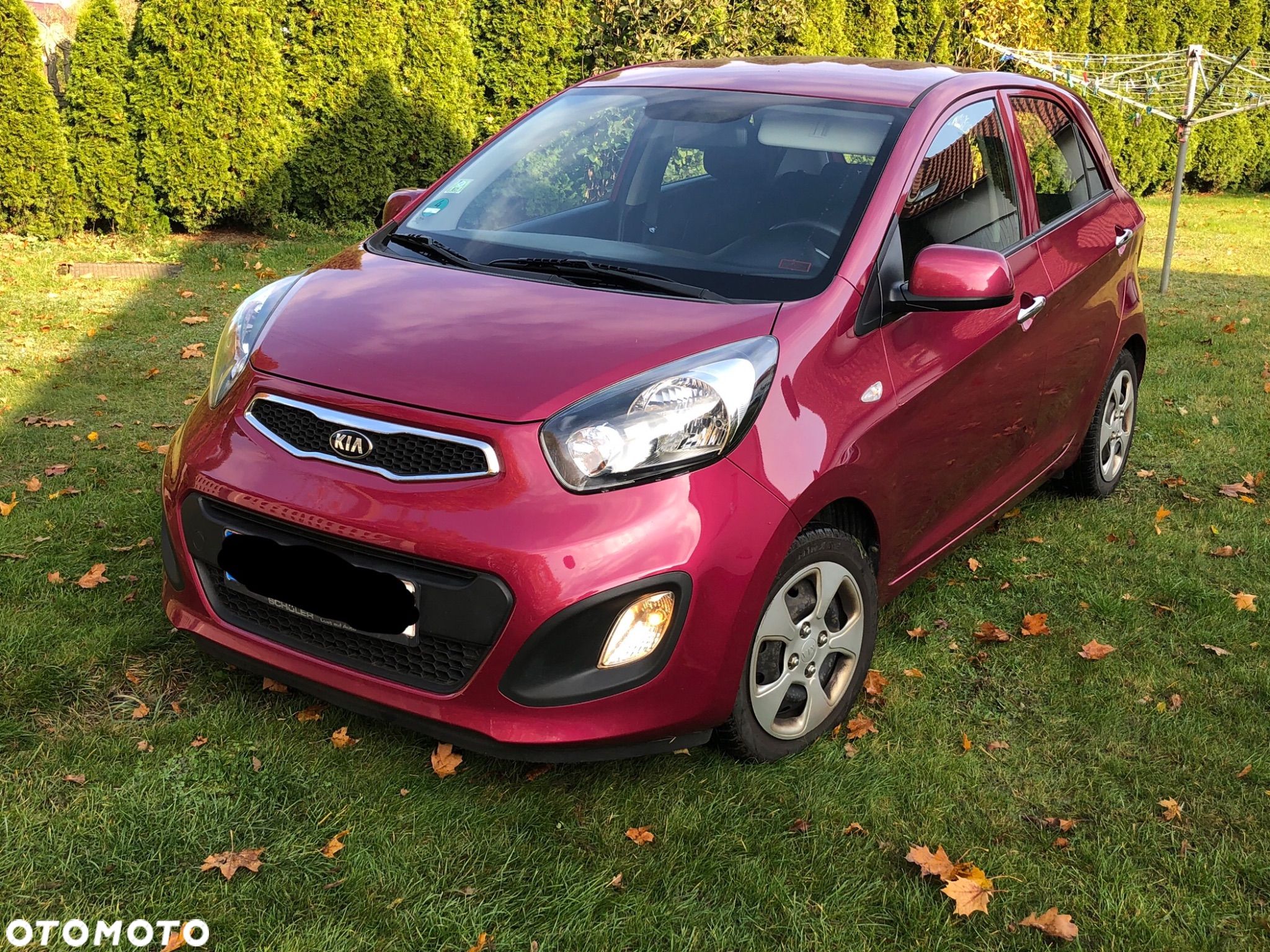 Kia Picanto 1.0 Edition 7 - 1
