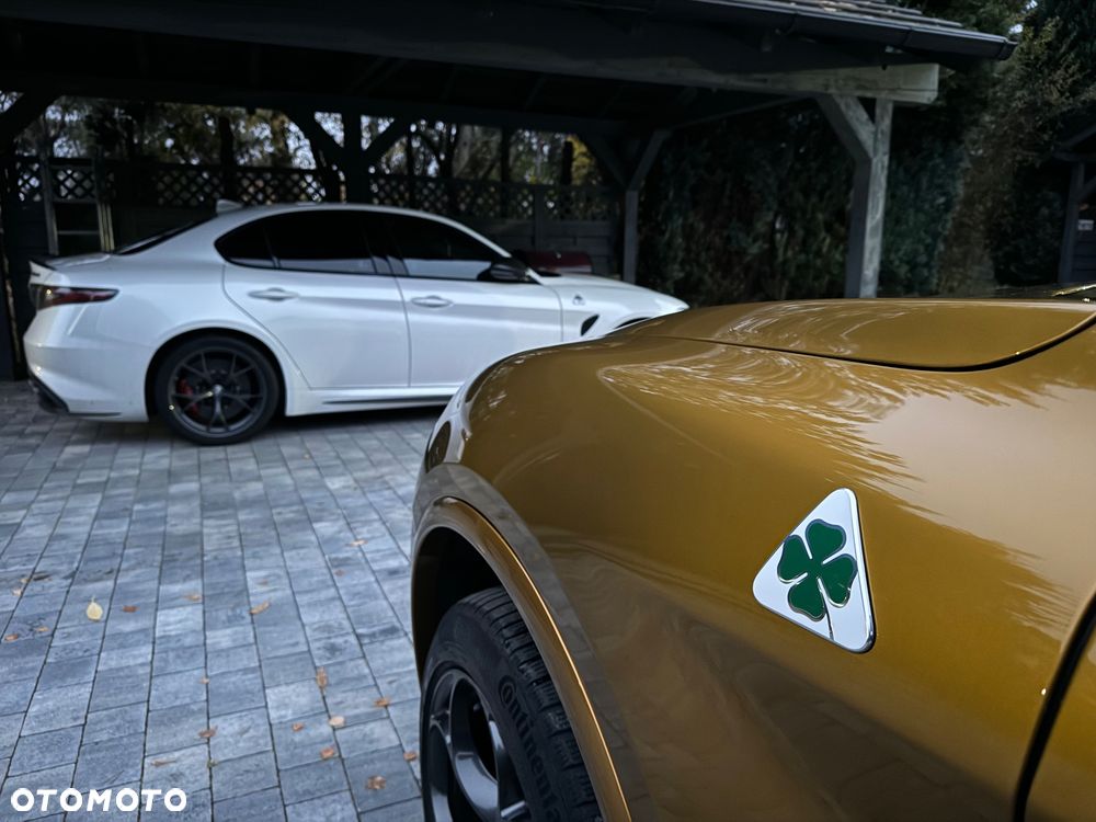 Alfa Romeo Stelvio 2.9 V6 Bi-Turbo Quadrifoglio Q4 - 24
