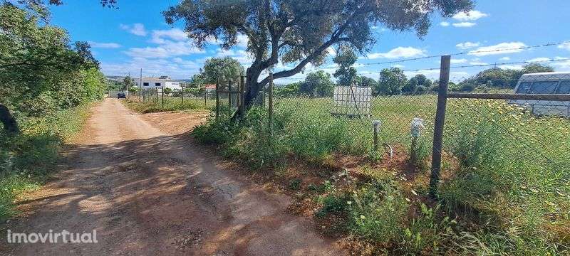 Terreno 4.280m2 Boliqueime a 10min Praia da Falésia - Grande imagem: 3/12