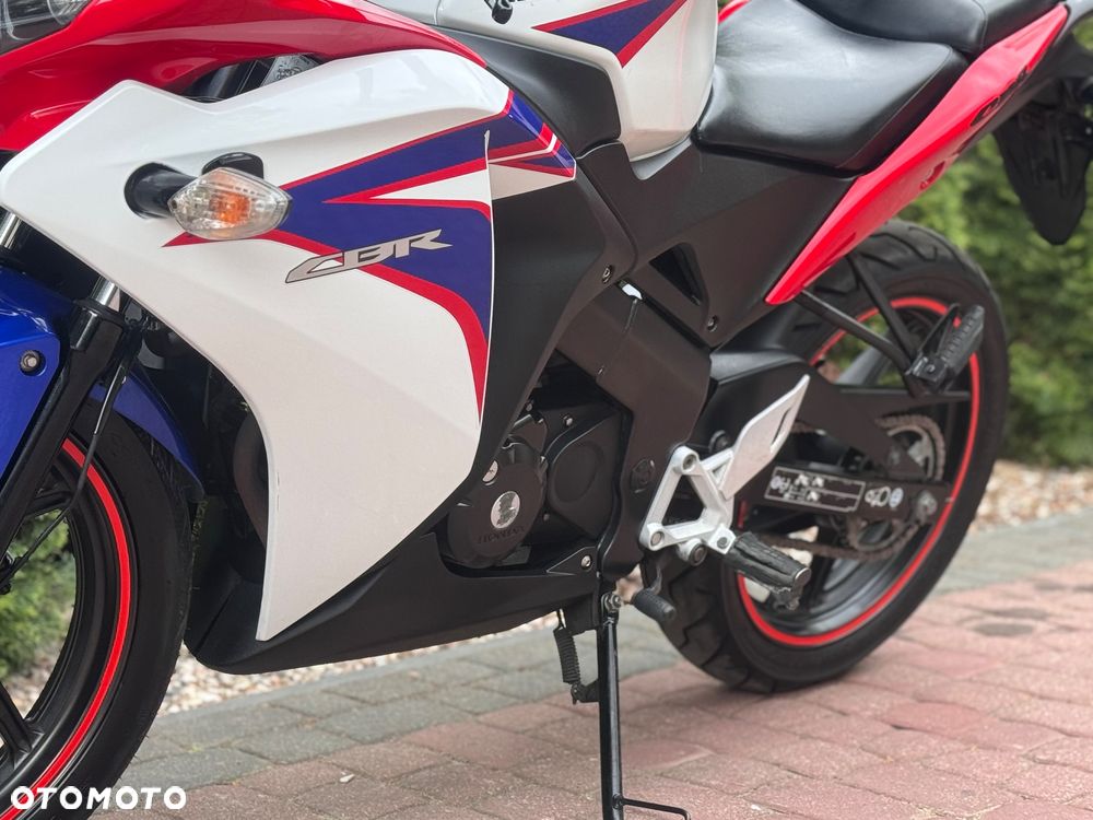 Honda CBR - 17