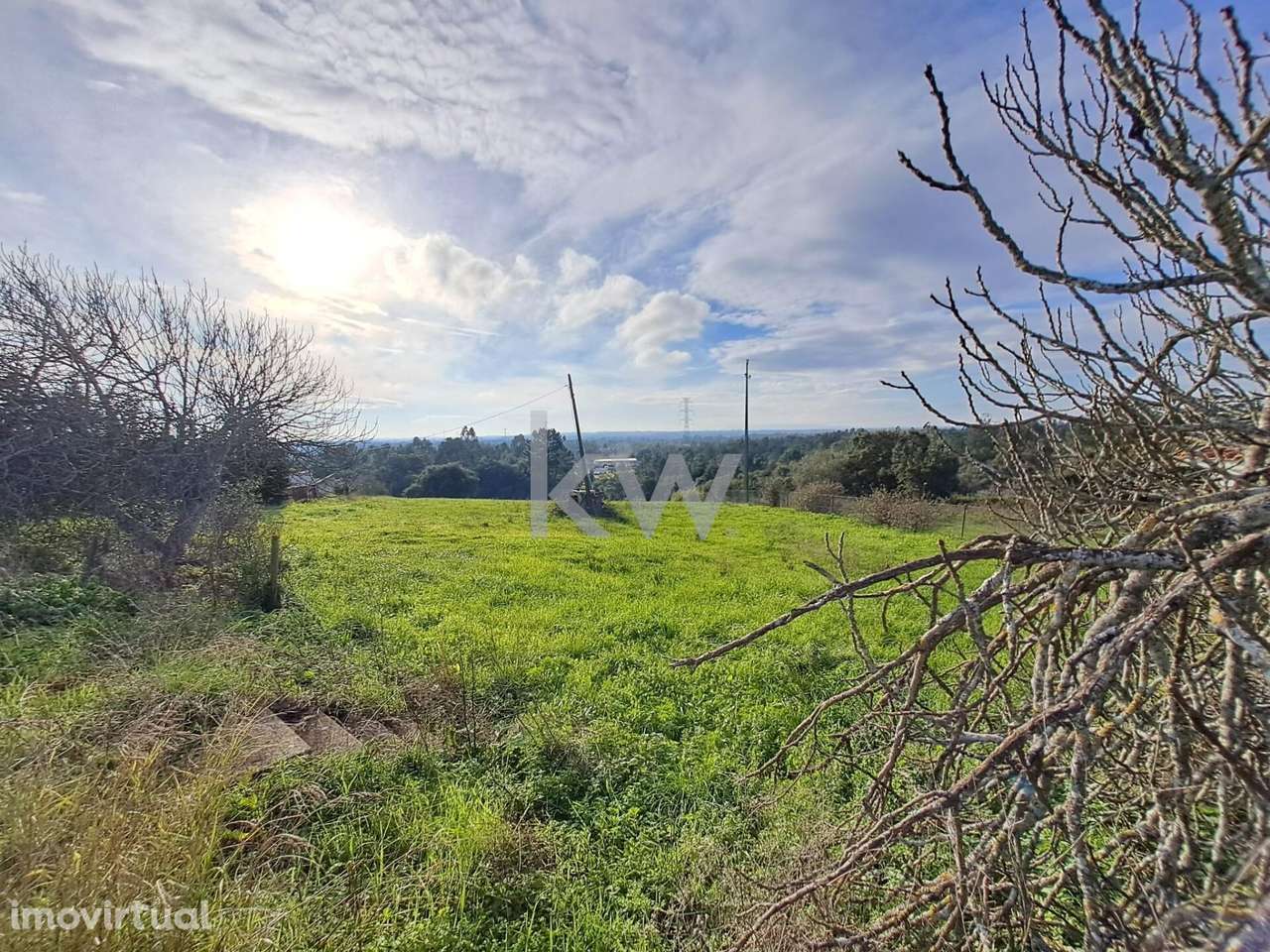 Quinta exclusiva na Póvoa da Isenta – Um refúgio no coração do Riba - Grande imagem: 4/19