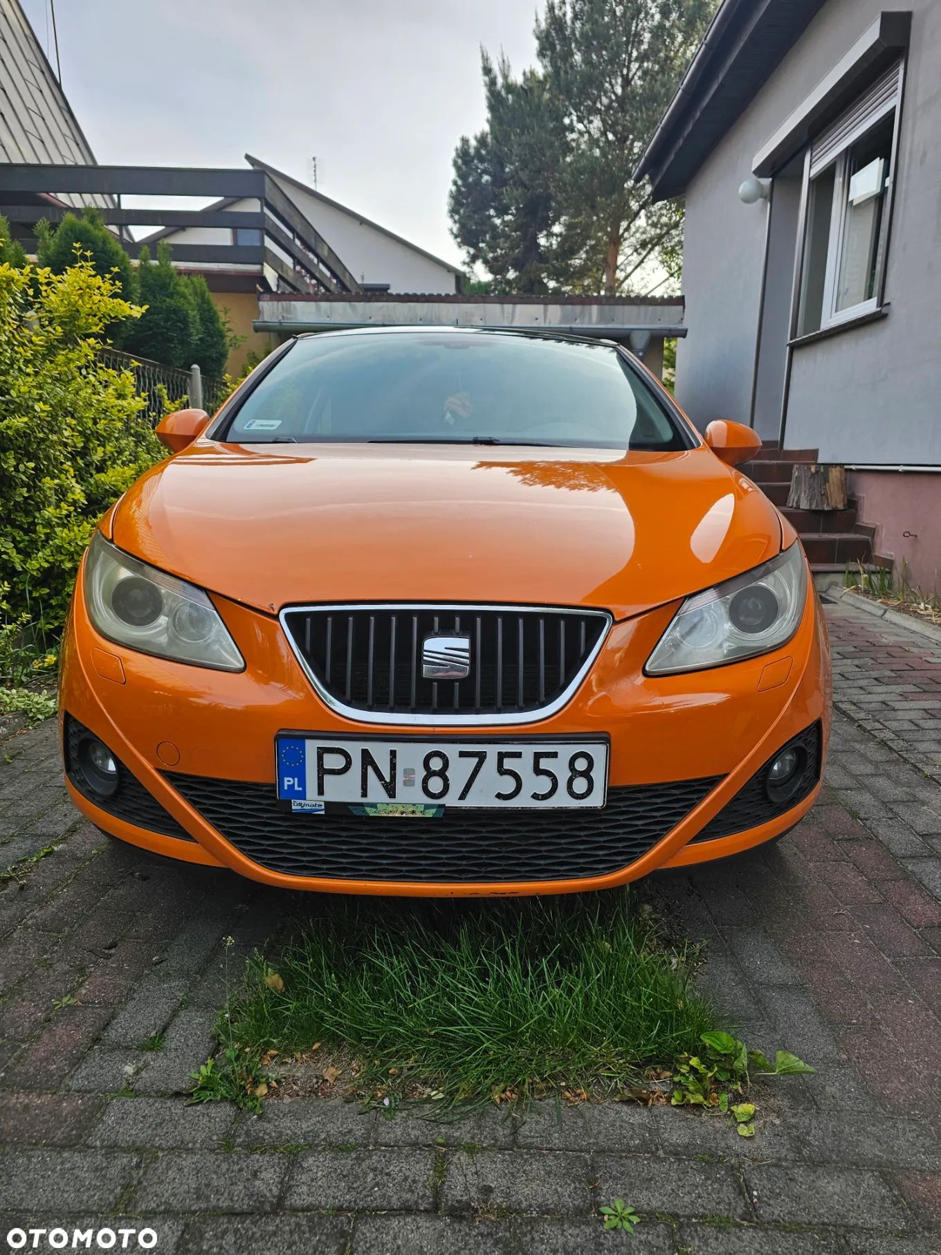 Seat Ibiza - 1