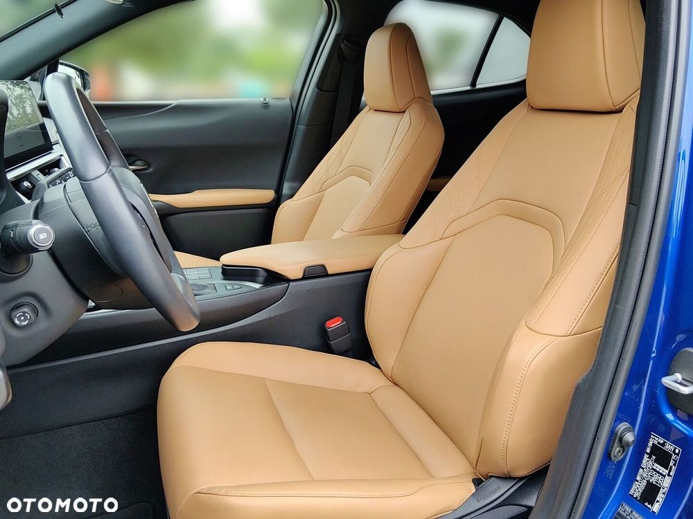 Lexus UX 250h GPF F Sport Design 2WD - 14