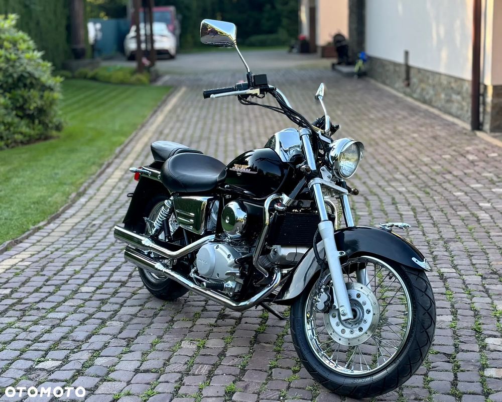 Honda Shadow - 1