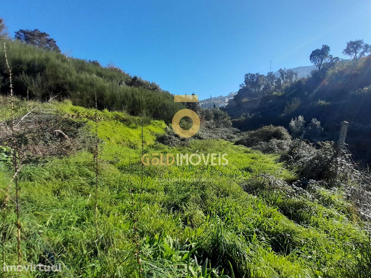 Moradia para recuperação - Grande imagem: 3/15