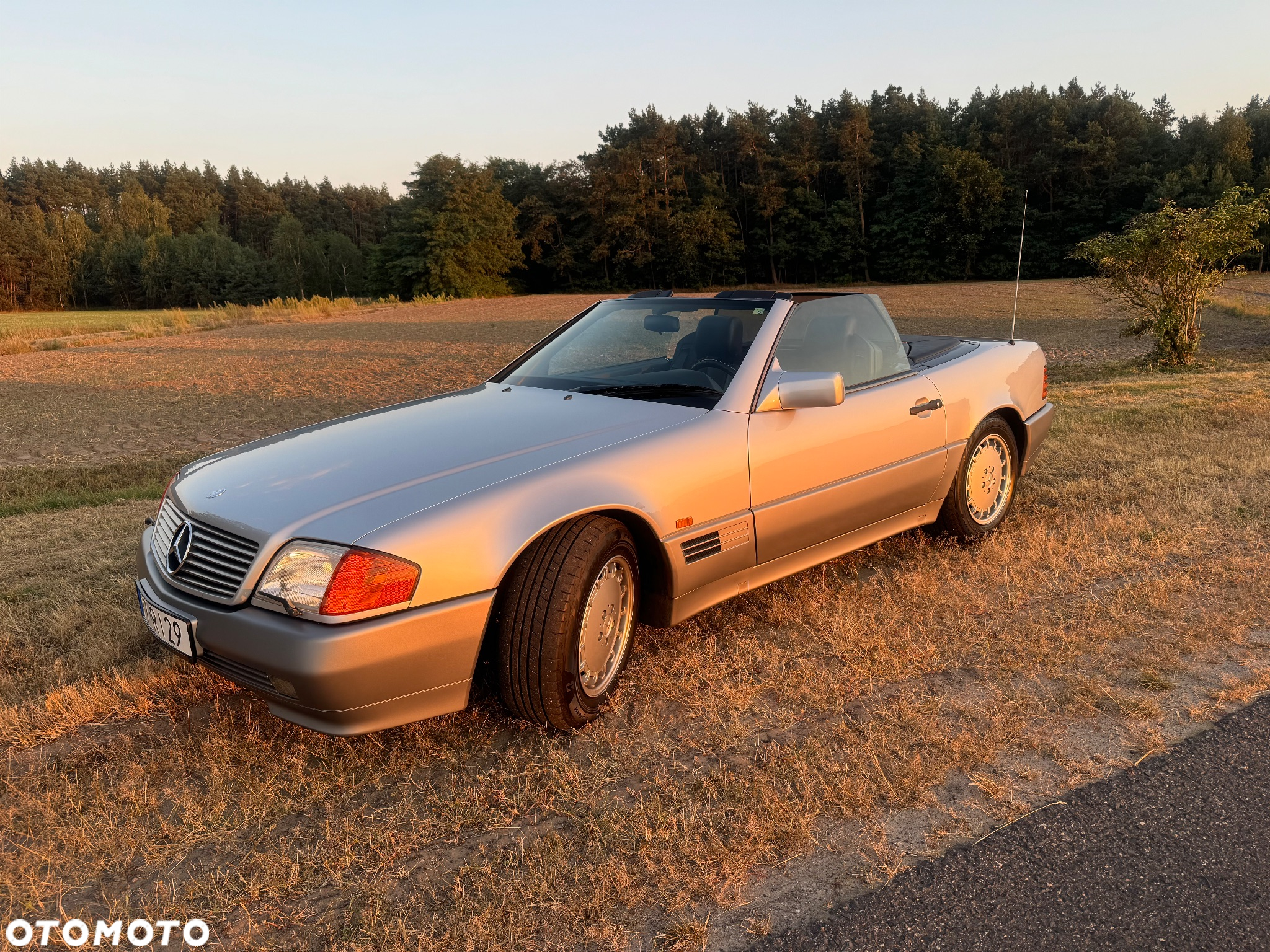 Mercedes-Benz SL 500 - 19