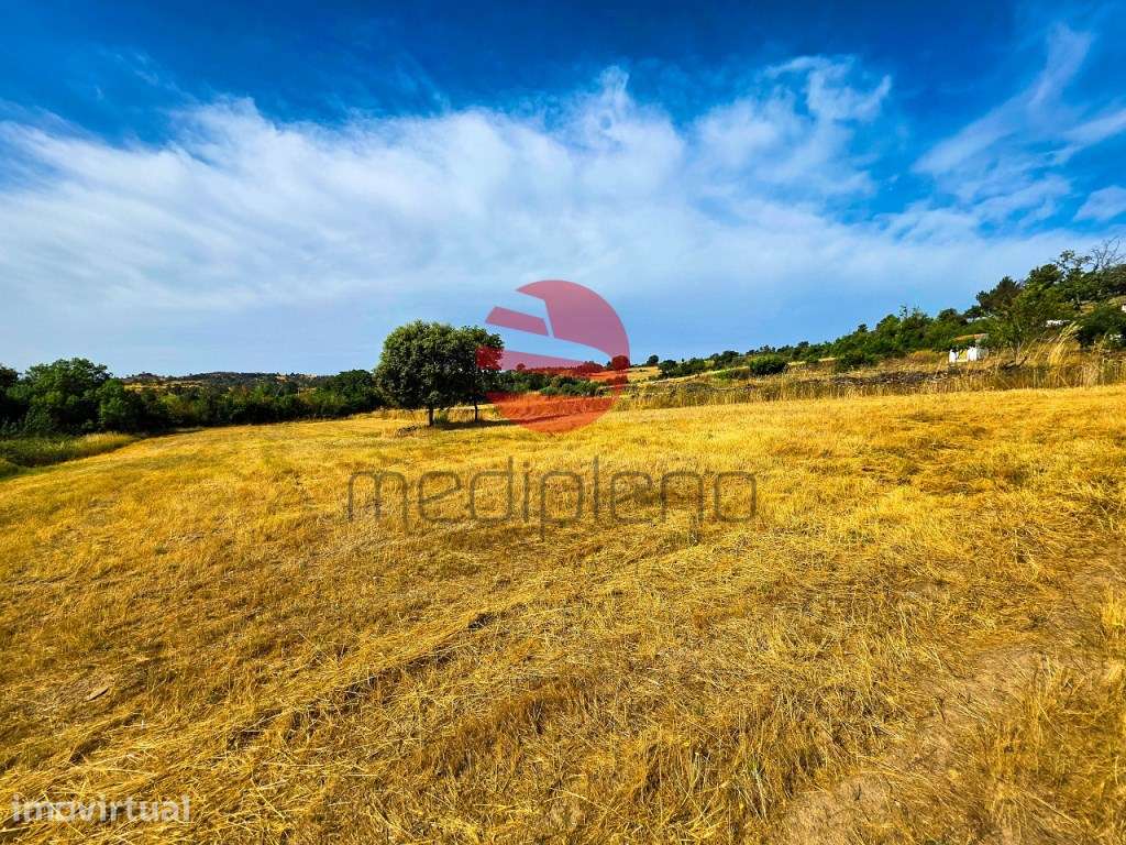 QUINTA AGRICOLA - Grande imagem: 5/14