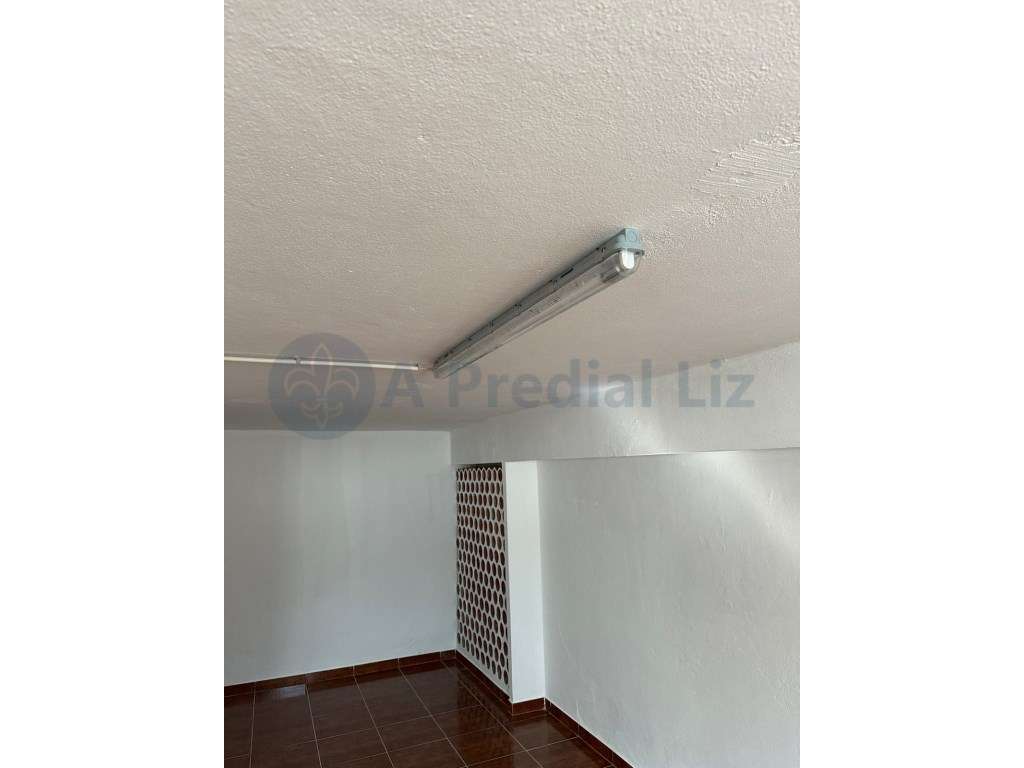 T2 + 2 em Belém - Grande imagem: 4/6