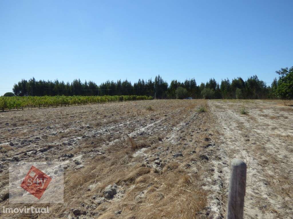 Terreno Foros do Trapo de 5.500m2! - Grande imagem: 2/5