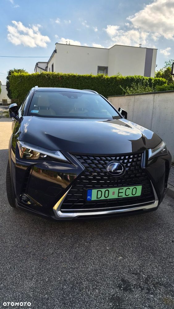 Lexus UX 300e 54.3 kWh Omotenashi 2WD - 12