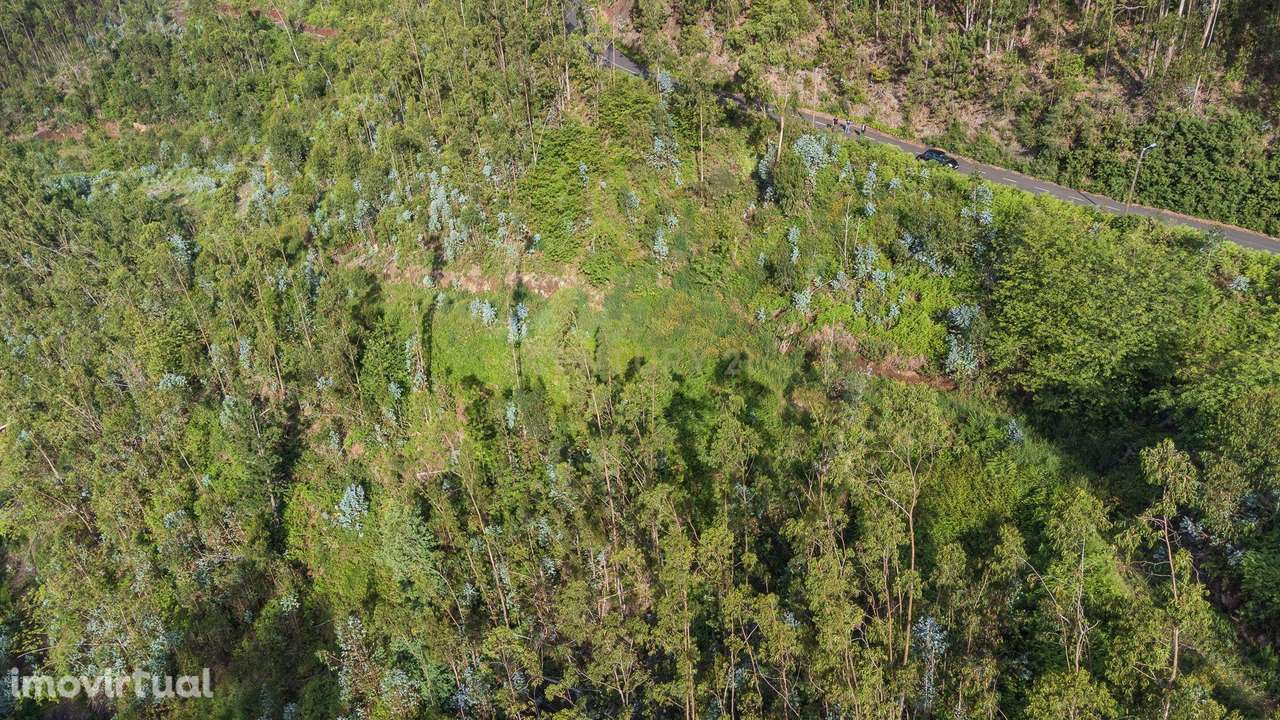 Terreno de 120.000m² com Potencial Agrícola - Campanário - Grande imagem: 2/11