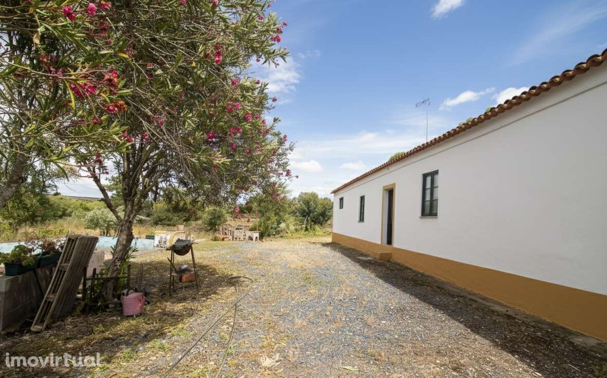 Herdade - Alvito - Grande imagem: 3/60