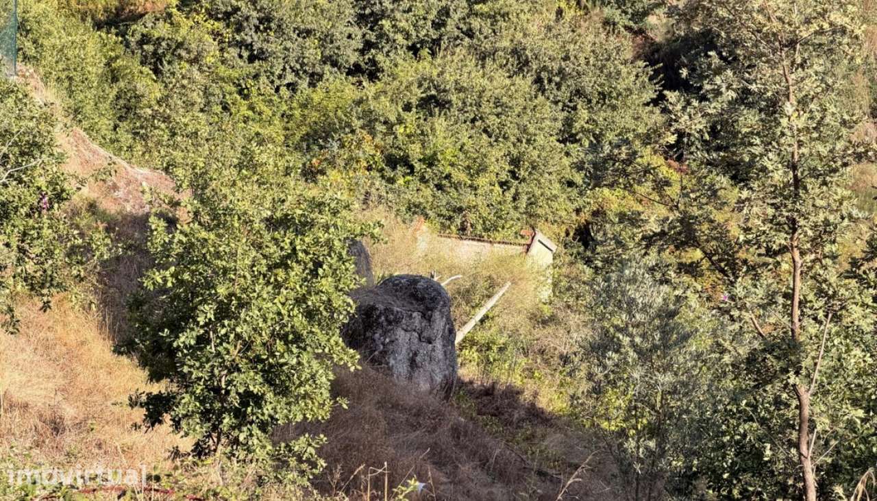 Venda Terreno, Mesquinhata, Baião - Grande imagem: 5/28