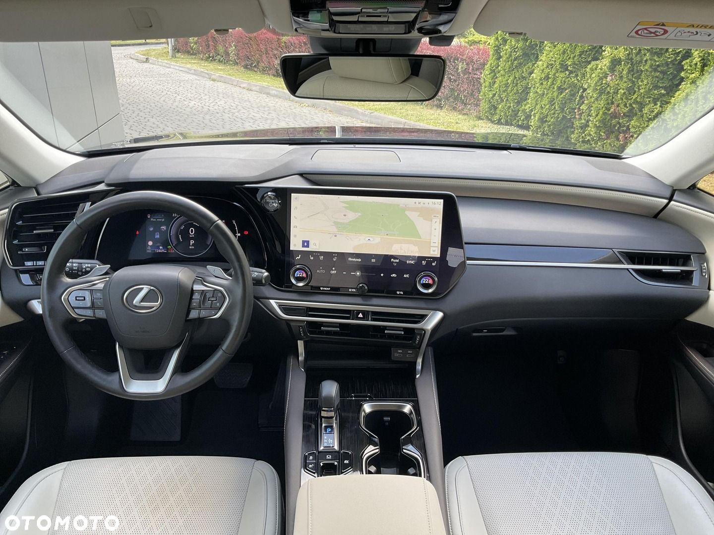 Lexus RX - 9