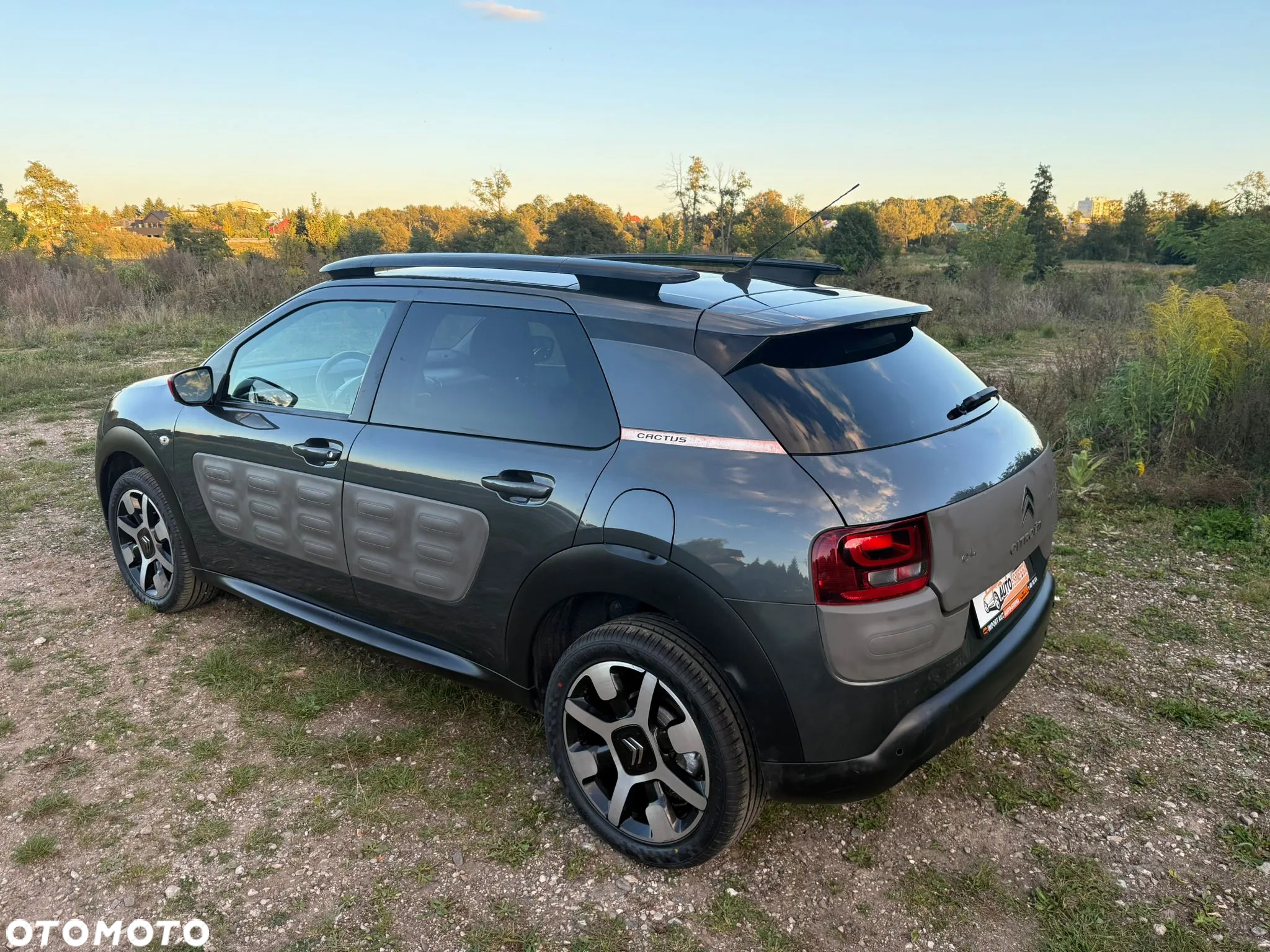 Citroën C4 Cactus BlueHDi 100 Stop&Start Live - 2