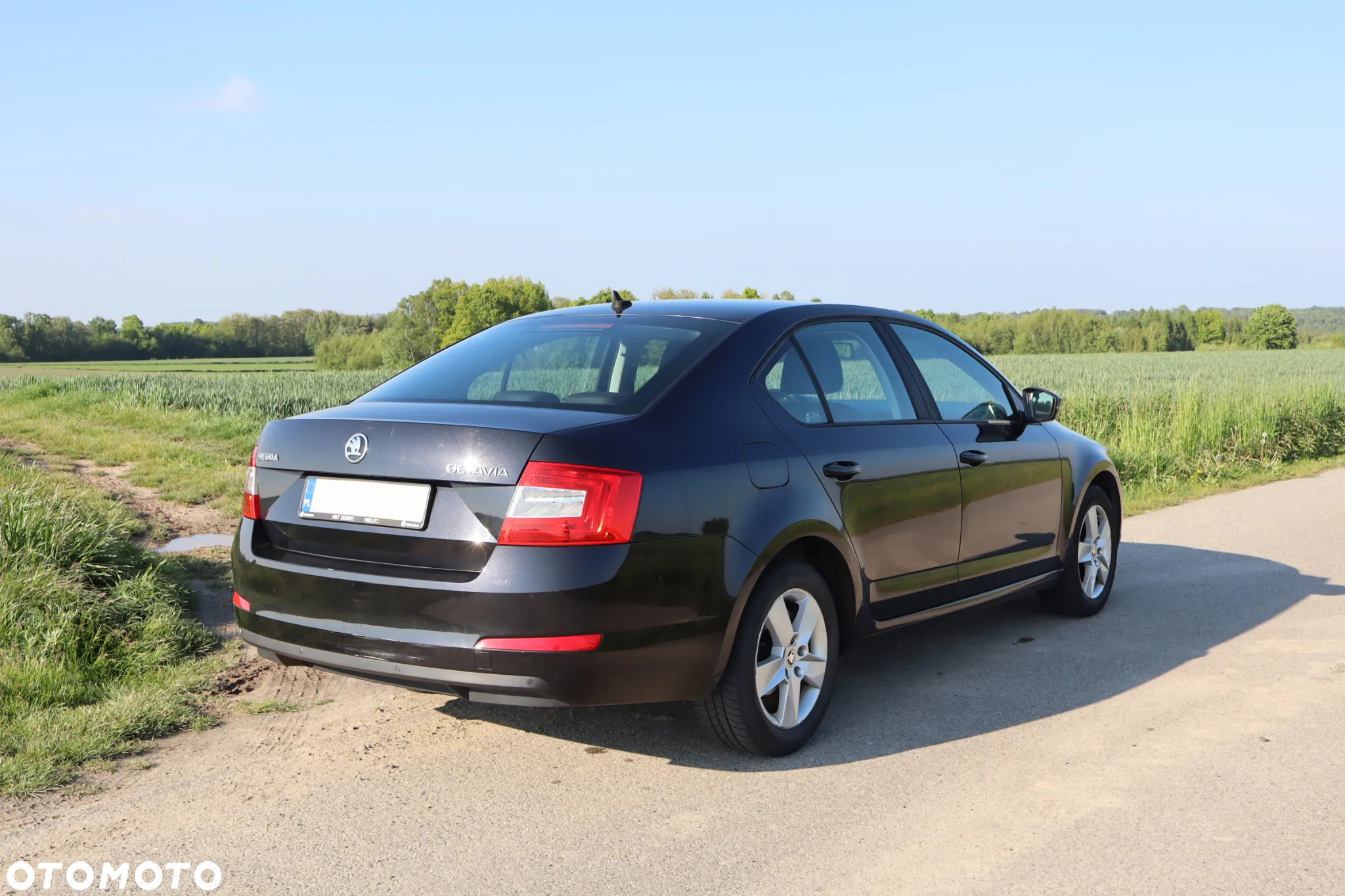 Skoda Octavia 2.0 TDI Ambition DSG - 10