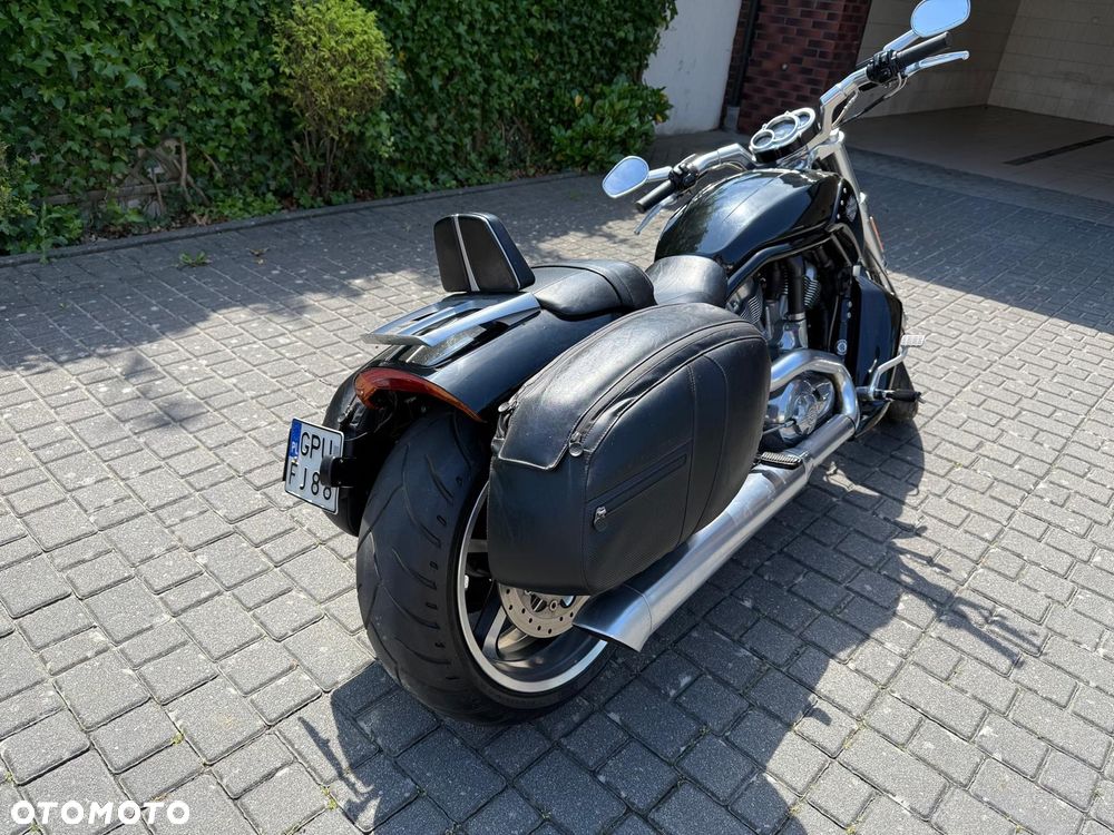 Harley-Davidson V-Rod Muscle - 2