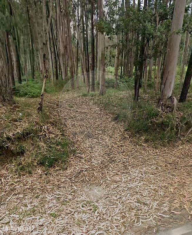 Terreno  para venda - Grande imagem: 4/5
