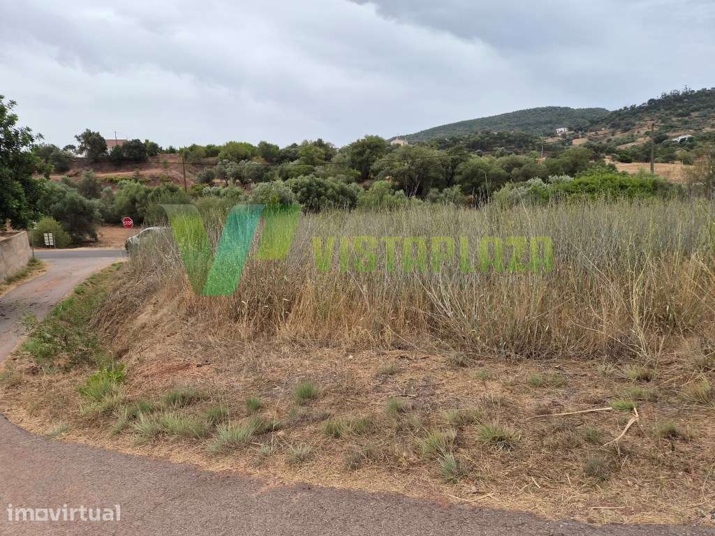 Terreno Rústico com 8.600 m² em Pedreiras, São Bartolomeu de Messin... - Grande imagem: 5/17