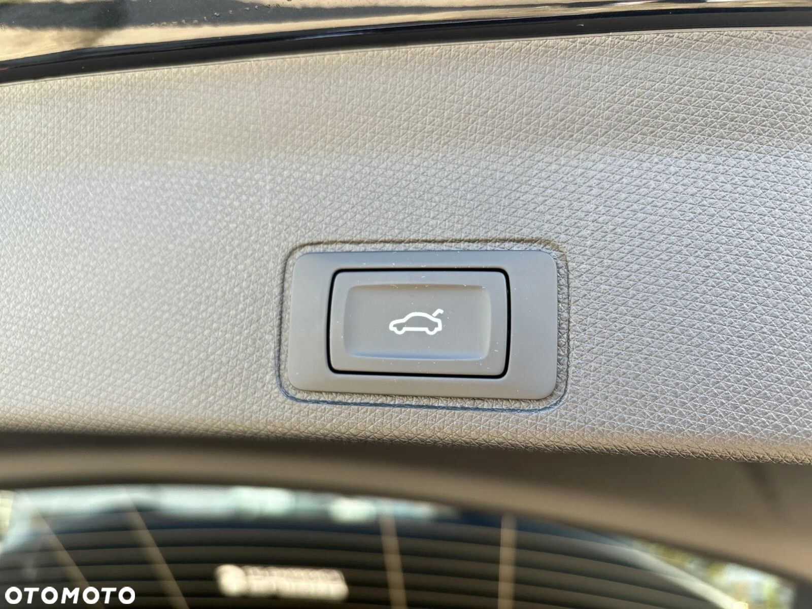 Cupra Terramar - 12