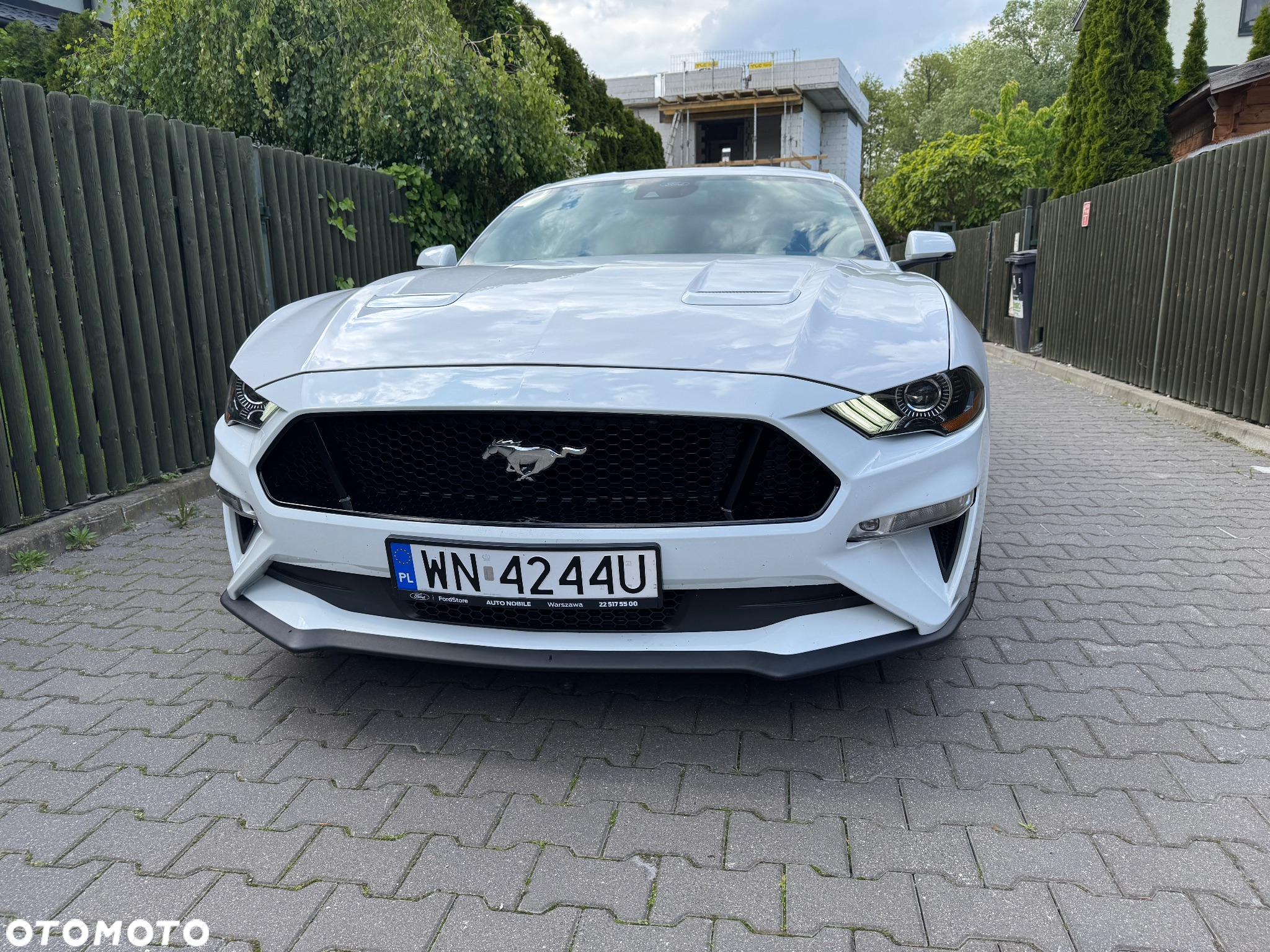 Ford Mustang 5.0 V8 GT - 3