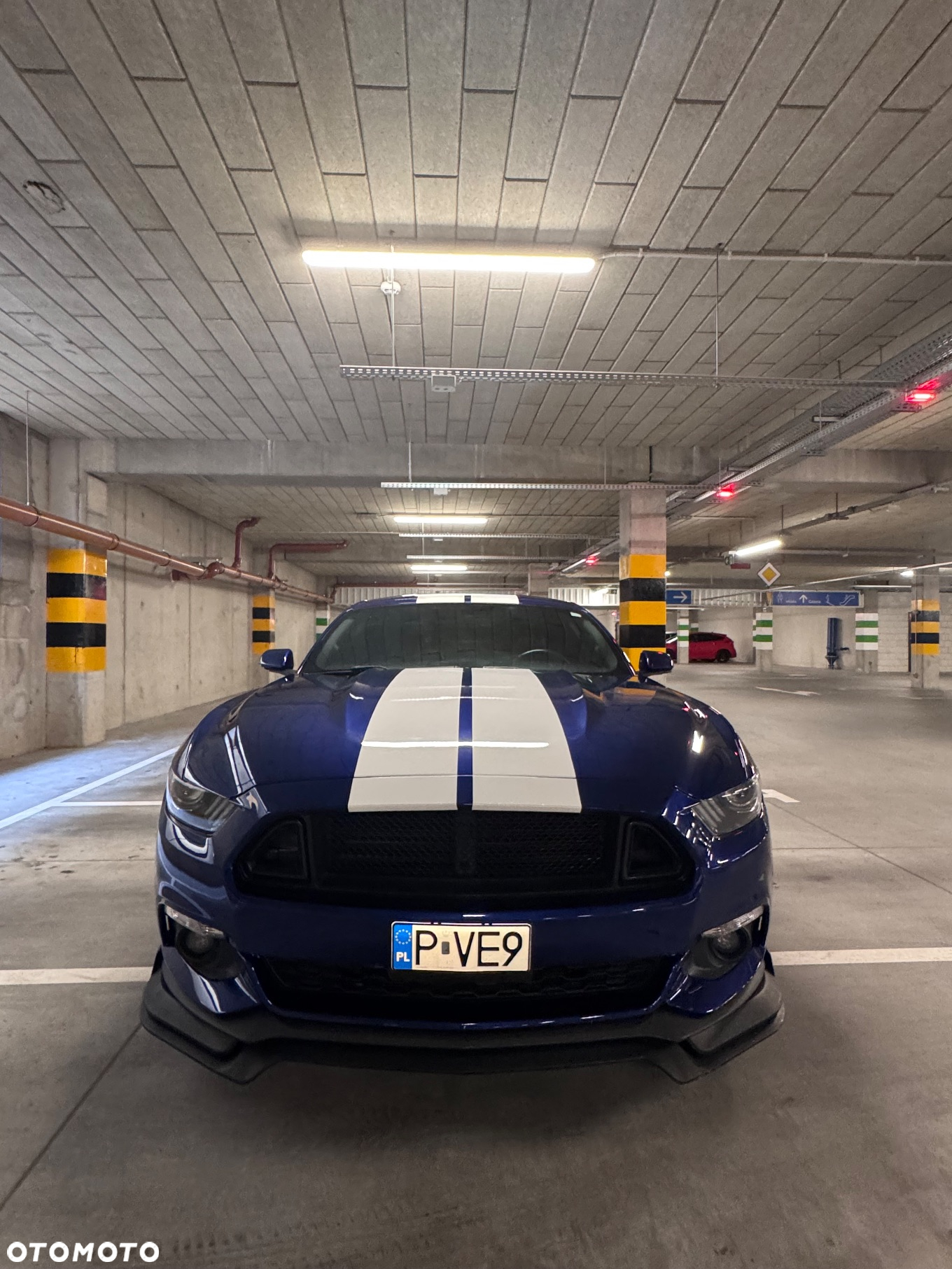 Ford Mustang 2.3 EcoBoost - 19