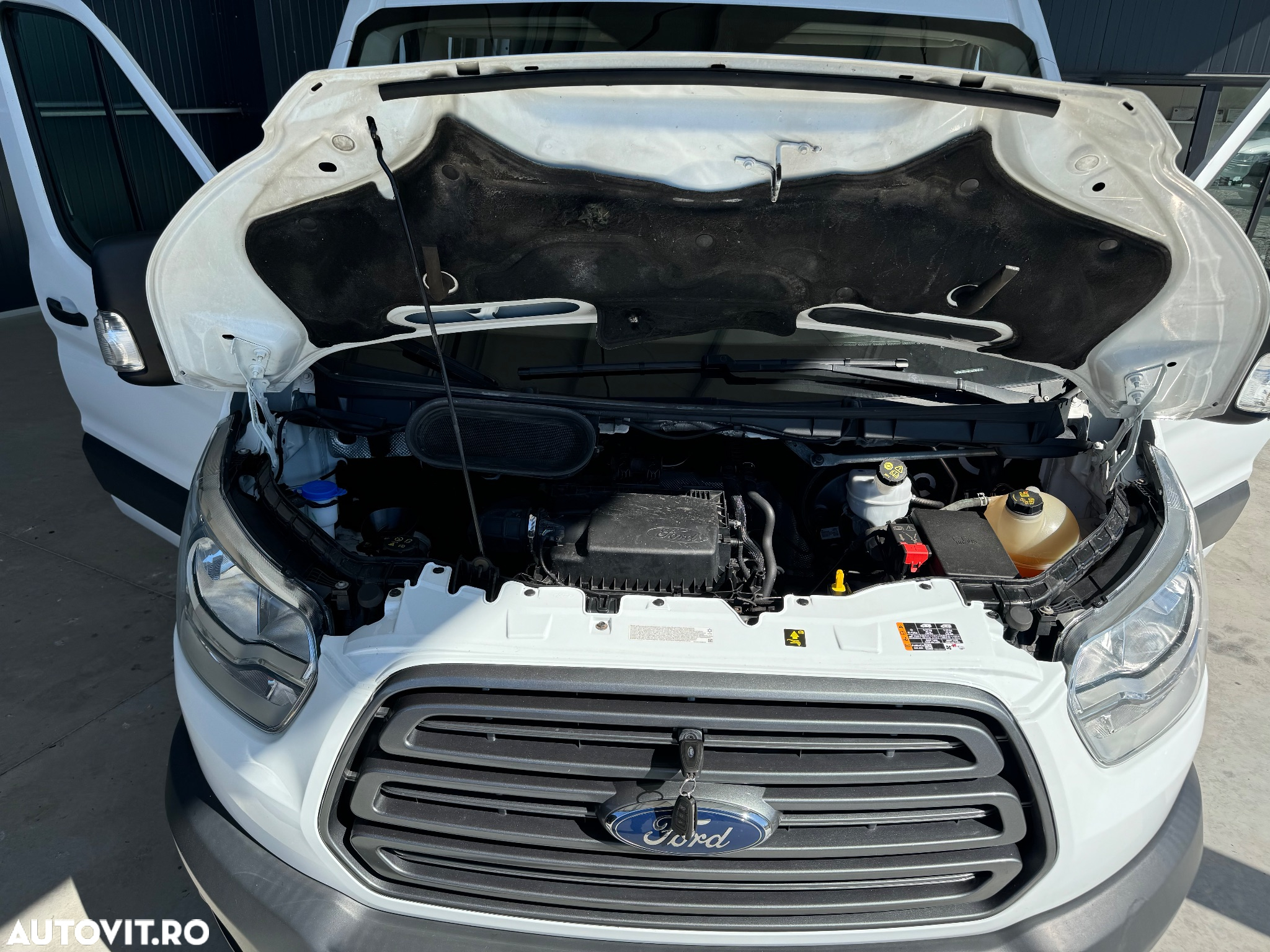 Ford Transit - 22