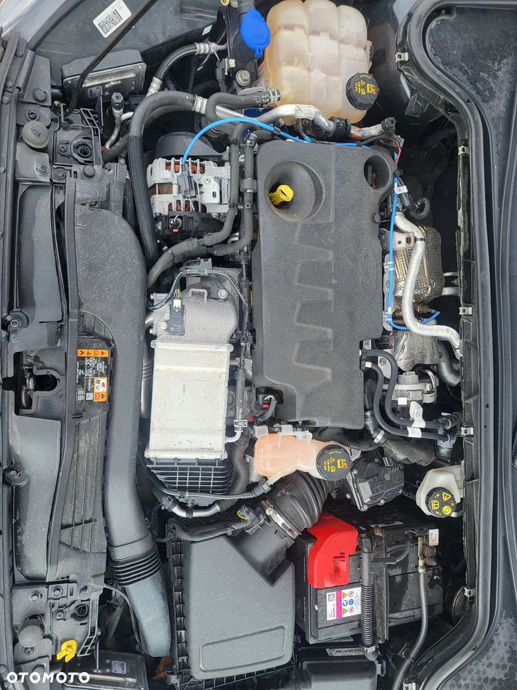 Ford Focus 2.0 EcoBlue ST - 30