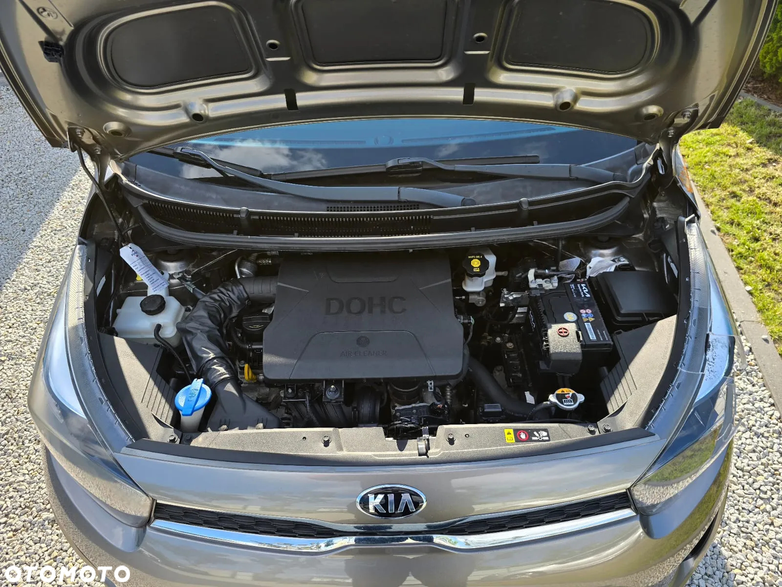 Kia Picanto - 24