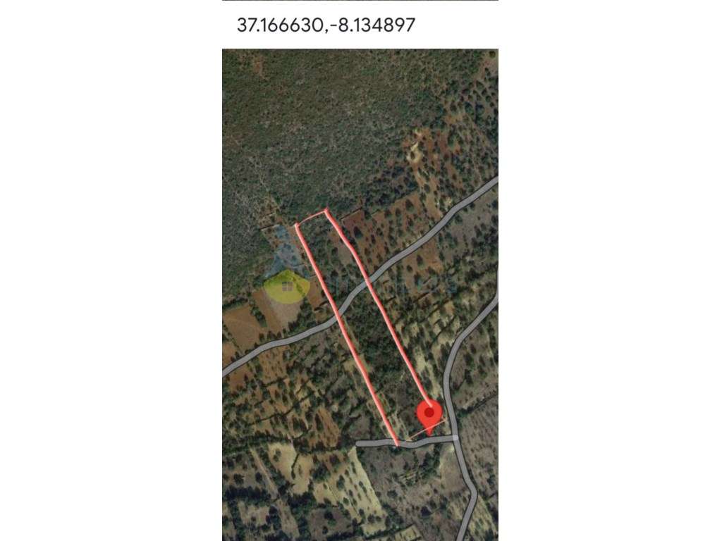 Terreno fértil em zona rural, para agricultura, projeto florestal, ... - Grande imagem: 5/7