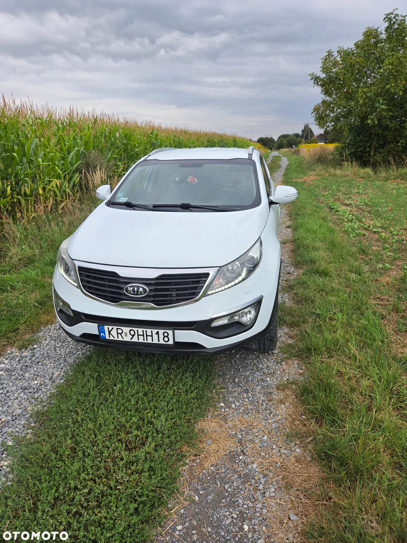 Kia Sportage 2.0 CRDI XL 2WD - 9