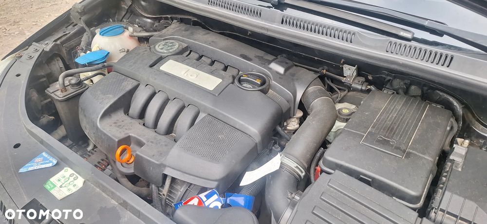 Volkswagen Golf Plus 1.6 Trendline - 40