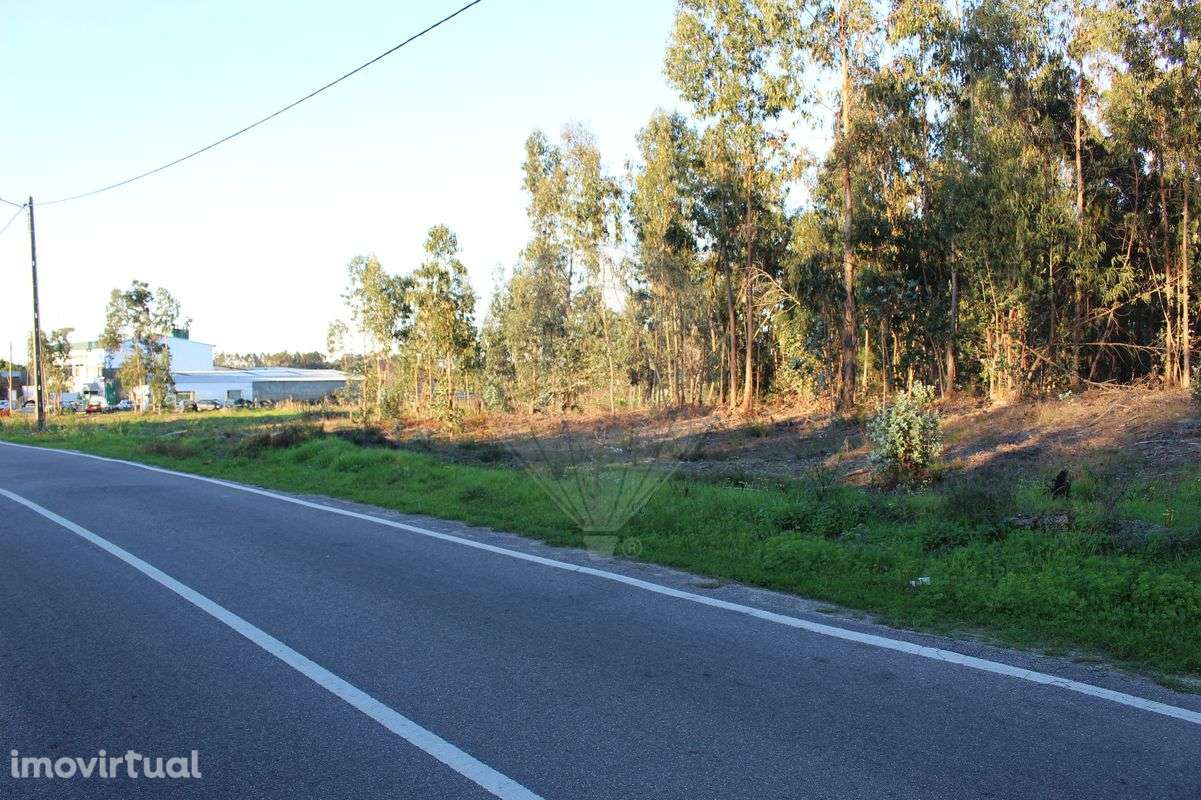 Terreno  para Venda - Grande imagem: 2/7