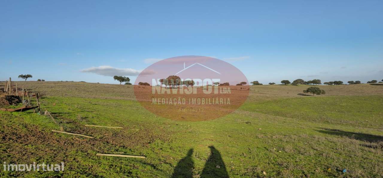 Herdade com 36 ha em Santo António do Baldio - Grande imagem: 3/14