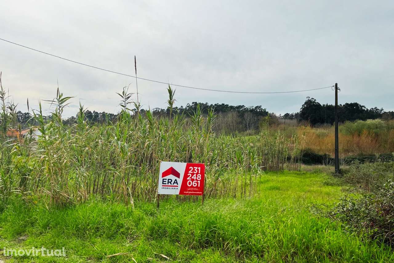 Terreno com viabilidade de construção - Grande imagem: 5/8
