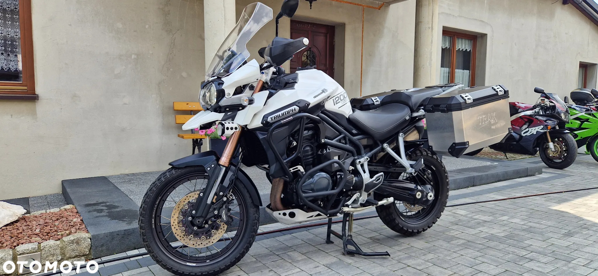 Triumph Tiger - 22