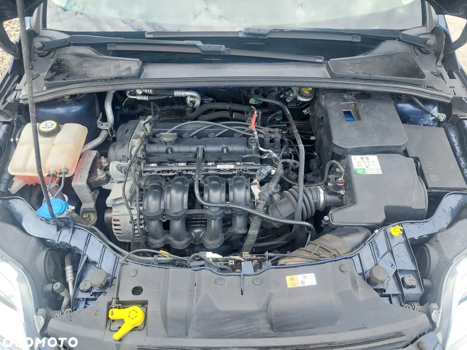 Ford Focus 1.6 Edition - 10