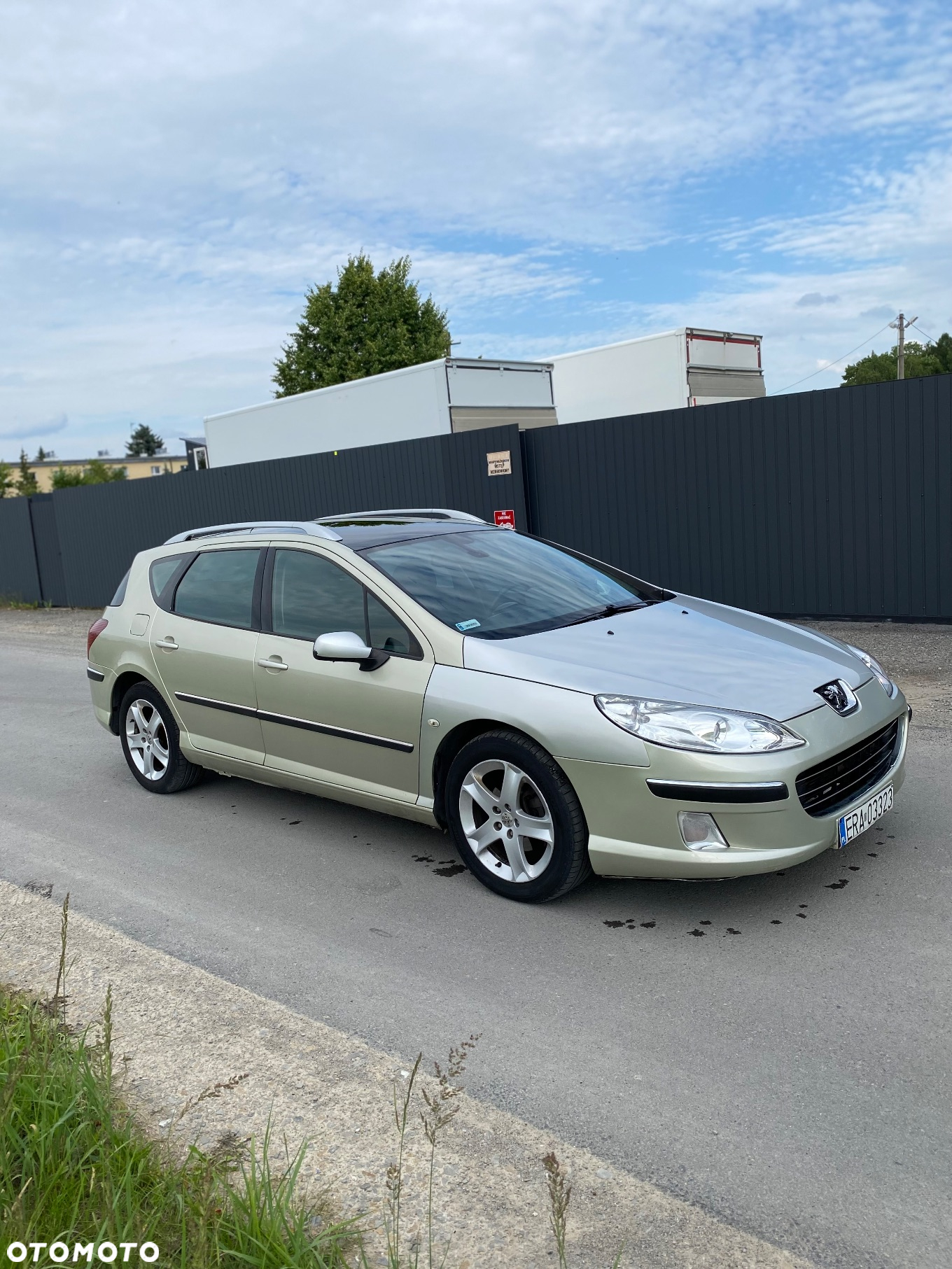 Peugeot 407 - 3