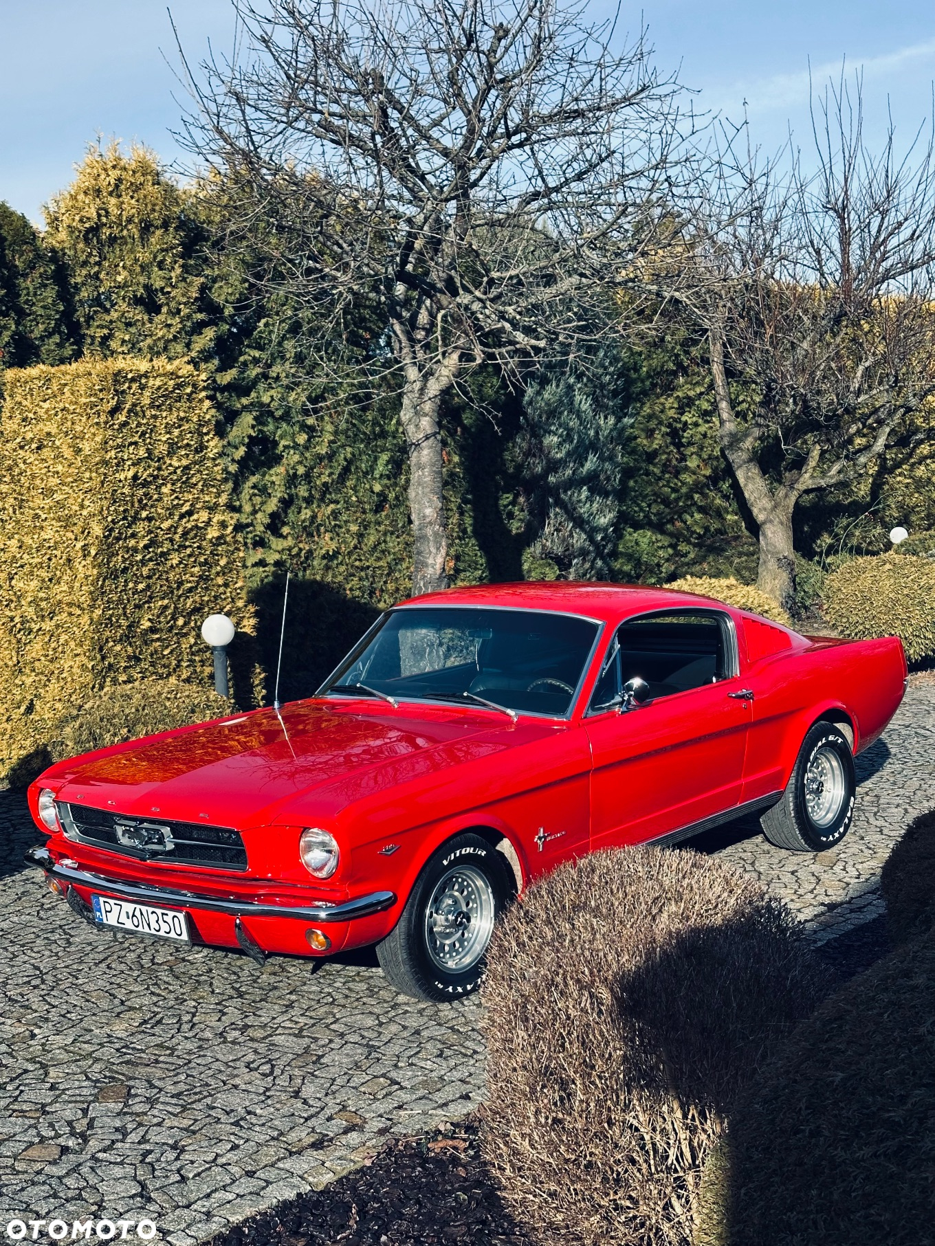 Ford Mustang - 3