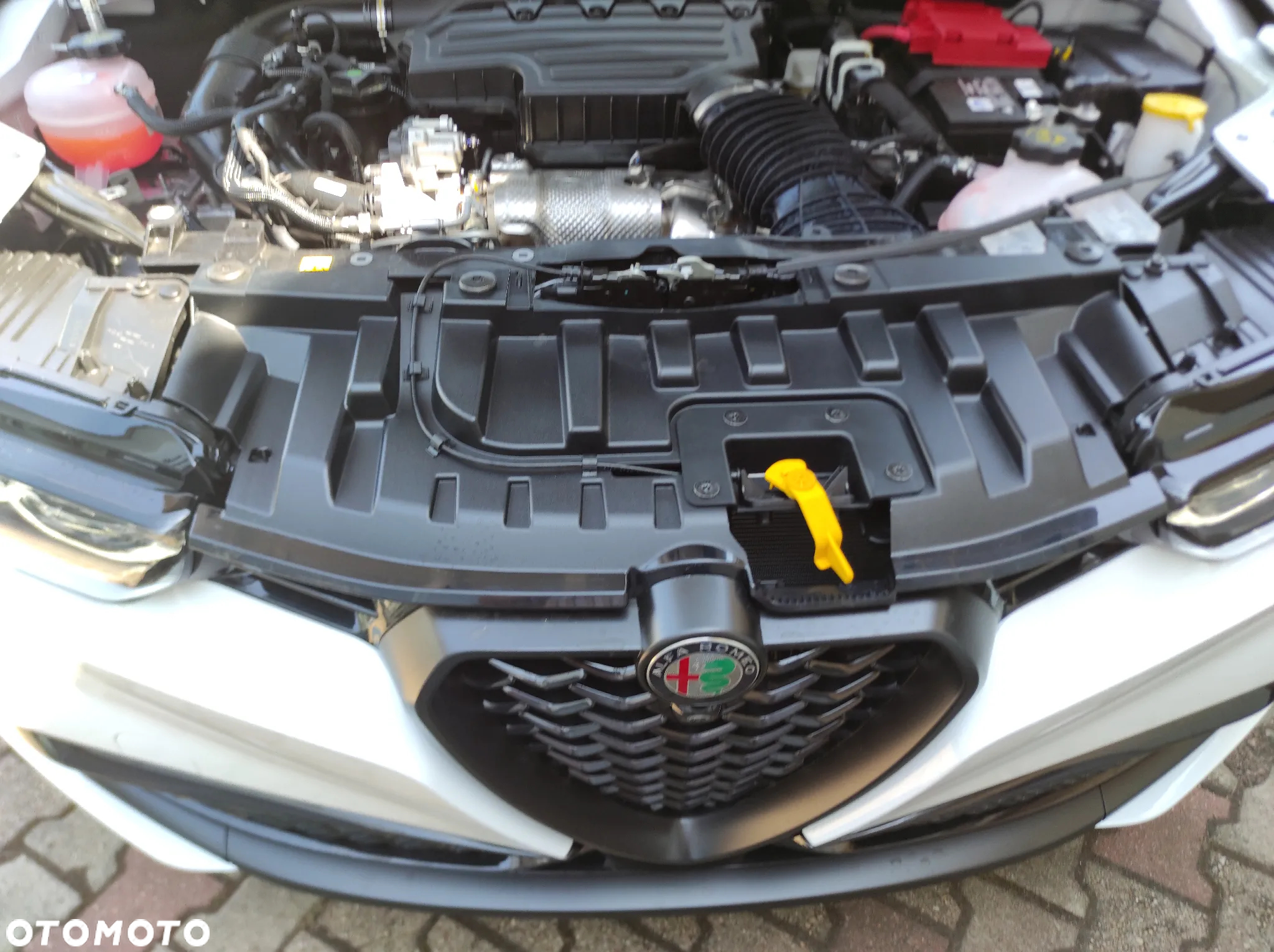 Alfa Romeo Tonale 1.5 T4 GSE mHEV Tributo Italiano DCT - 15