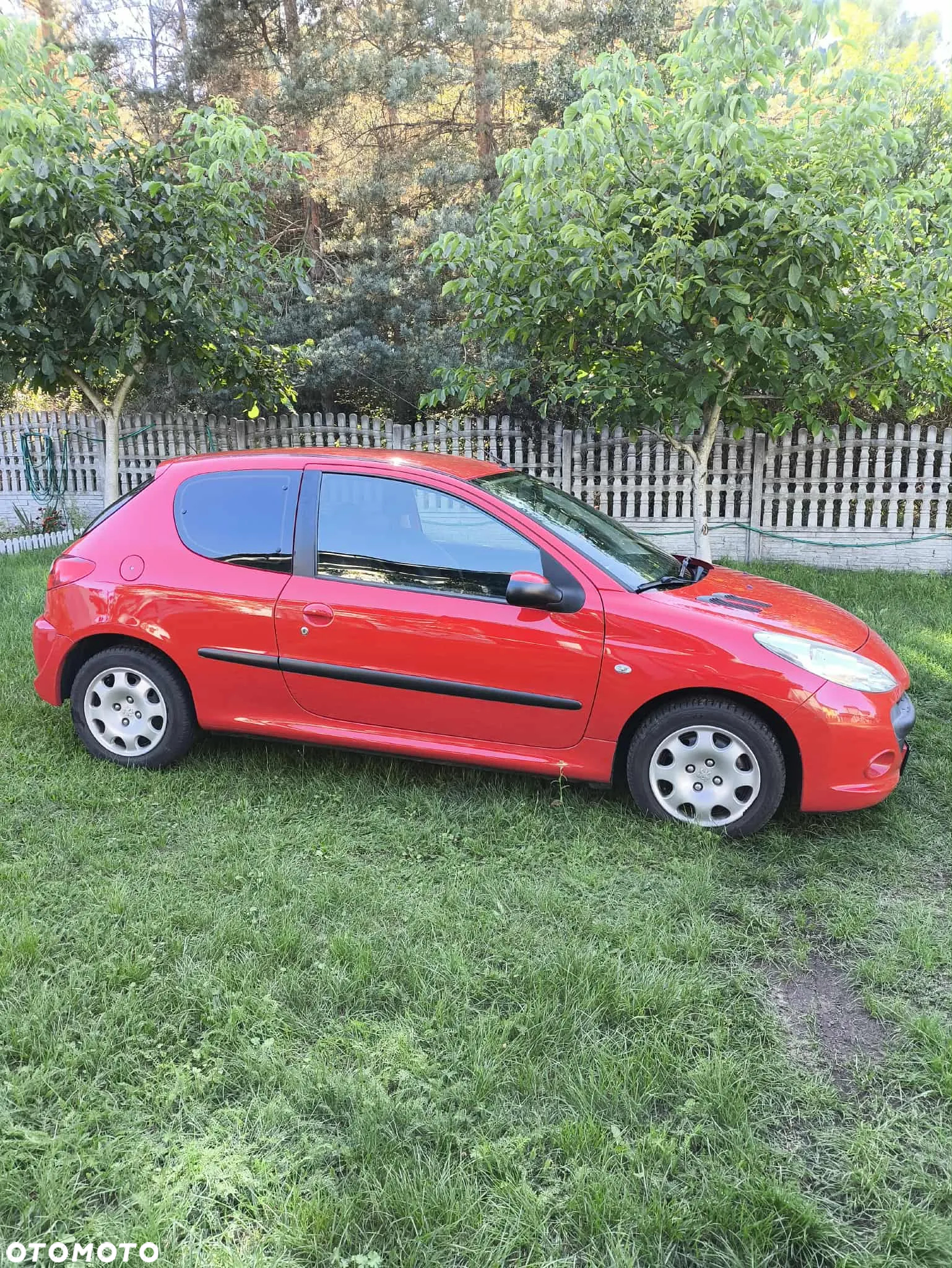 Peugeot 206 plus - 13