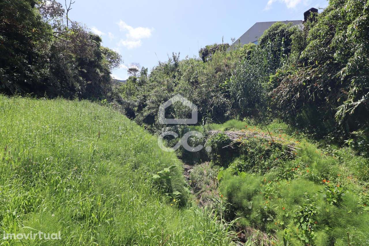 Terreno com 4.480,00 m2 - Porto Formoso - Ribeira Grande - Grande imagem: 4/11