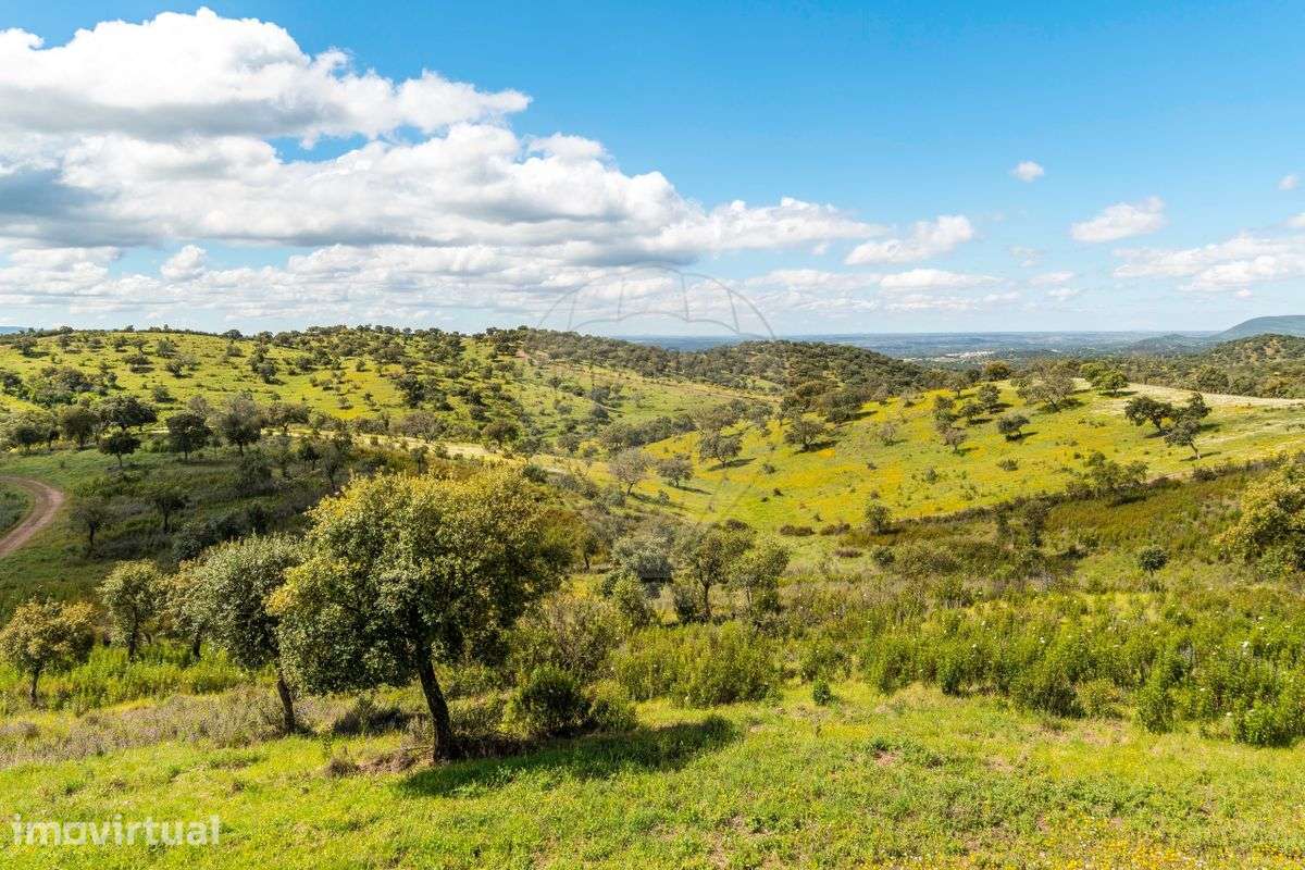 Herdade  para venda - Grande imagem: 3/21