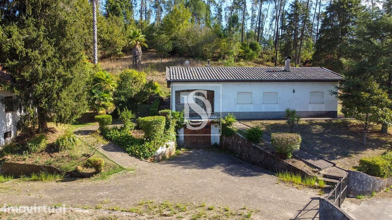 Quinta com 24.300m² em Vale de Açores, Mortágua - Grande imagem: 2/60