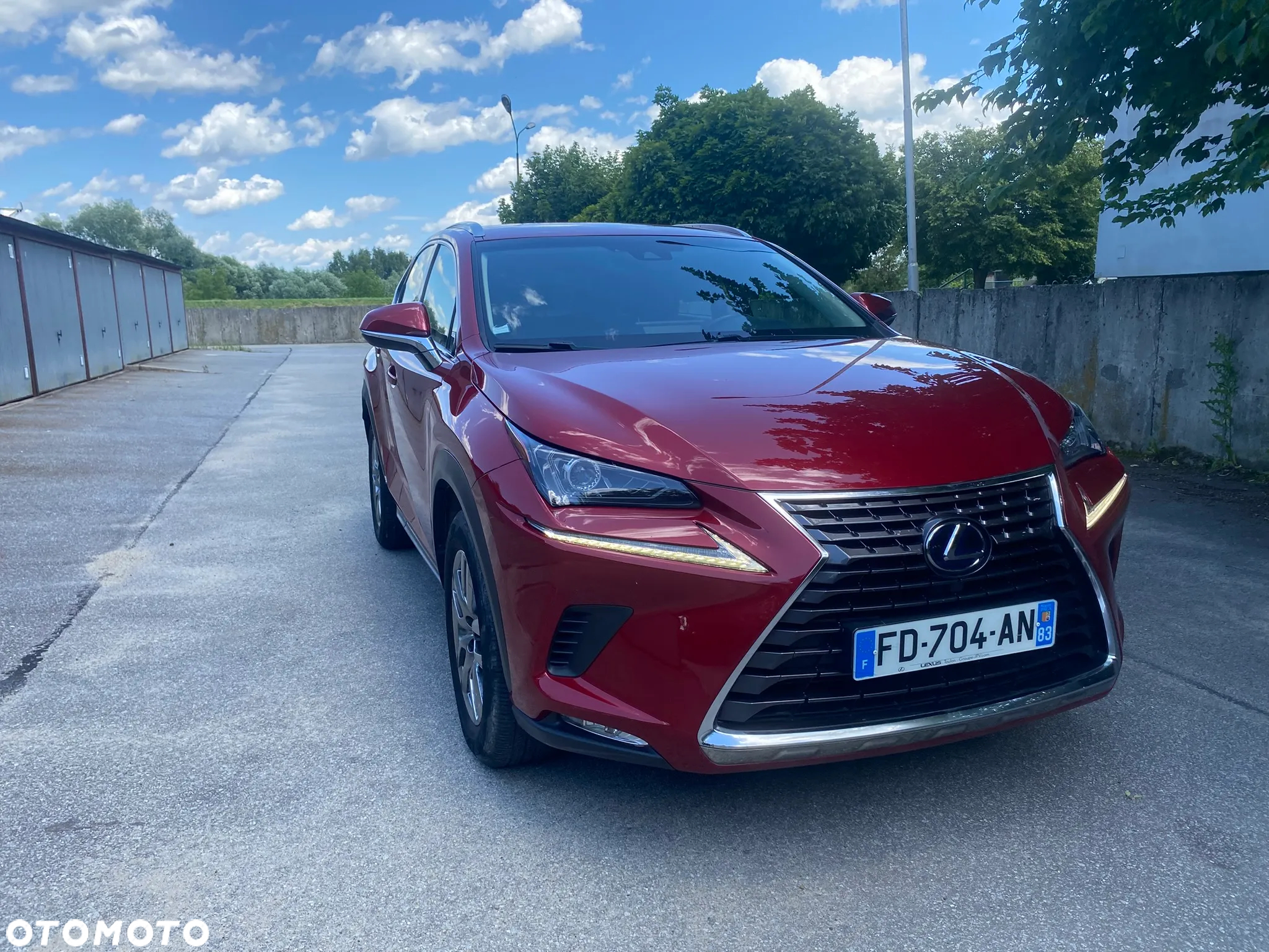 Lexus NX 300h Elegance AWD - 19