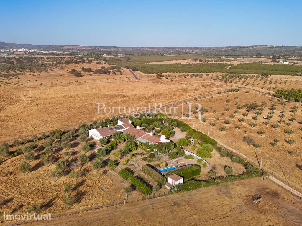 Monte de 4,8 hectares com Moradia T11 para Turismo Rural - Grande imagem: 4/56